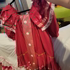 Folkorico Dance Costume