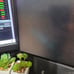 Dell 24 LCD monitor with arm