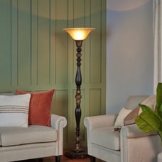 Floor Lamp open box never used