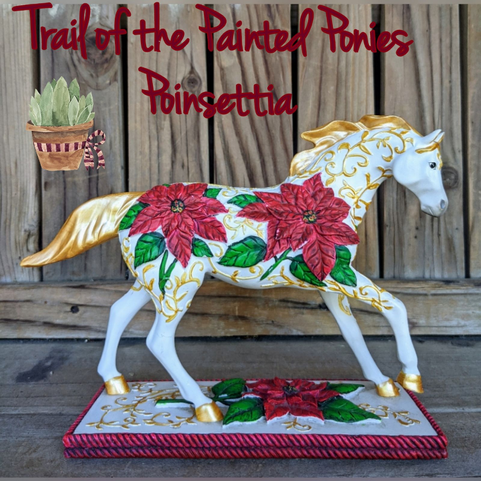 Trail of The Painted Ponies Poinsettia