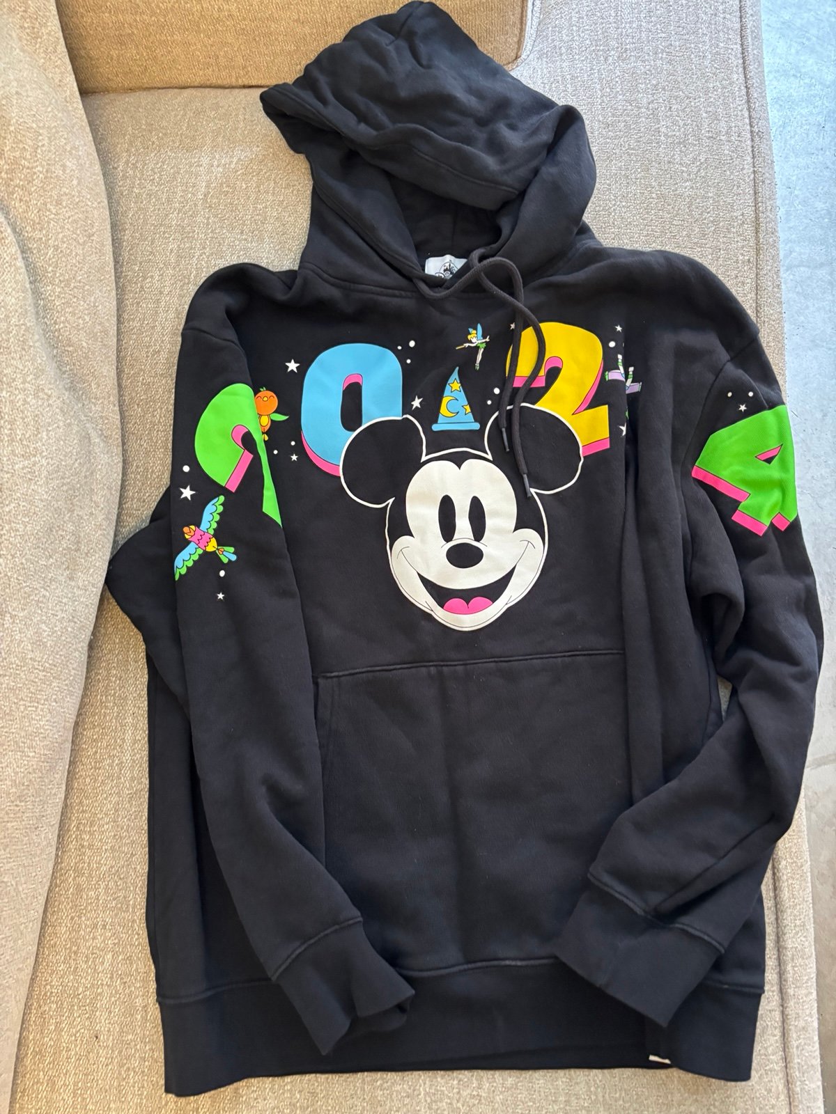 Disney Adult Hoodie - 2024 Walt Disney World Mickey Mouse - LARGE