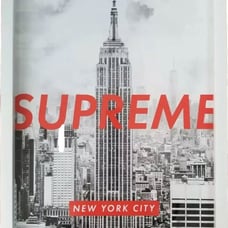 Supreme X Oliver Gal Empire State