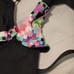Tula Baby Carrier