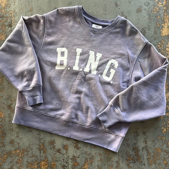 Anine Bing Purple Sweatshirt