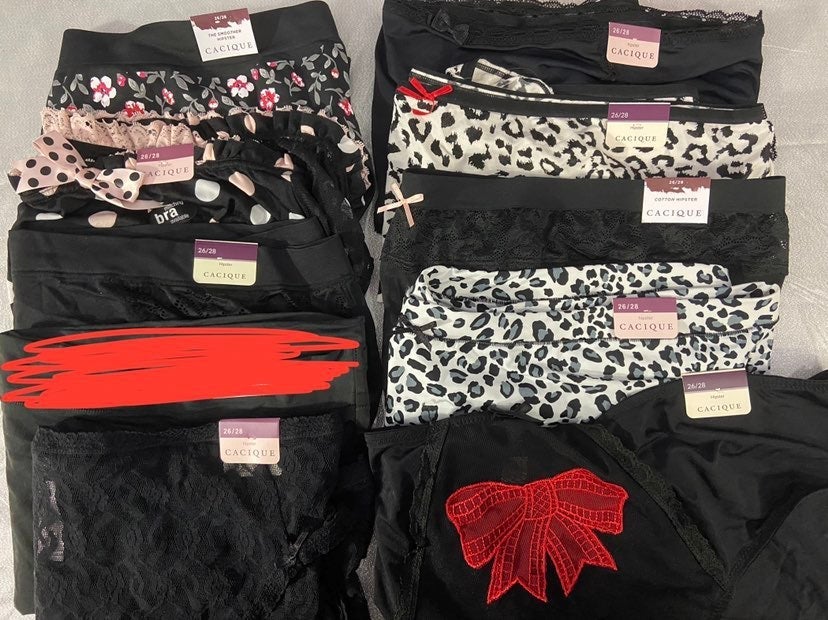 Lane Bryant Underwear Lot