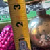Rare lot of 7 mid century Christmas Tree Ornament Mercury Blown Glass Shiny