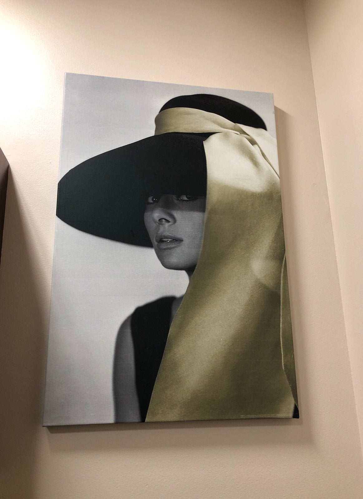 audrey hepburn Wall Canvas