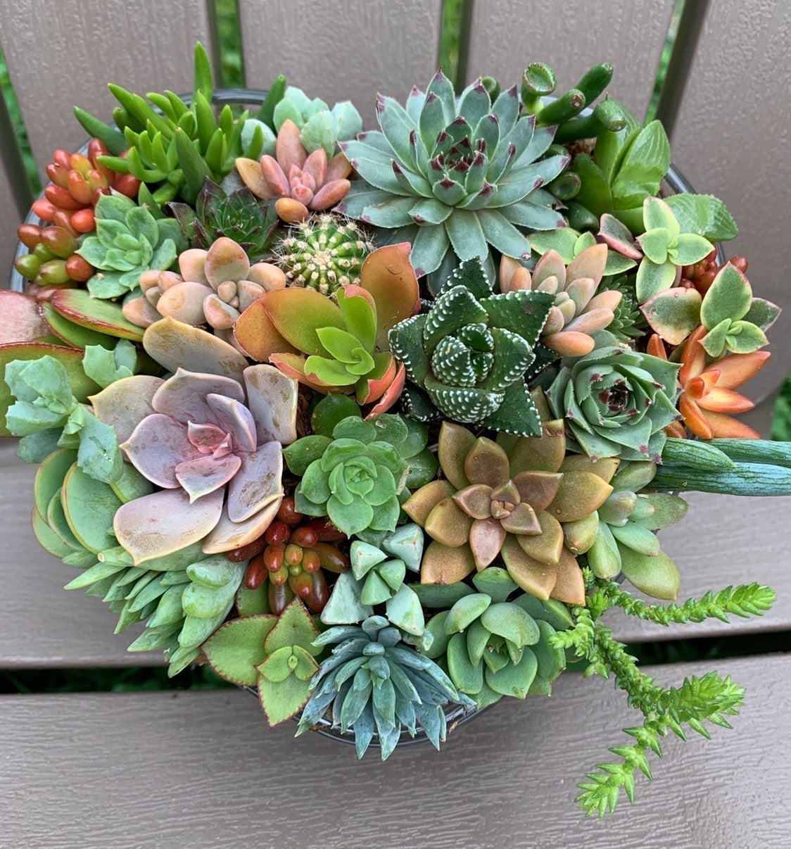 Succulent Arrangement/ Glass heart shape
