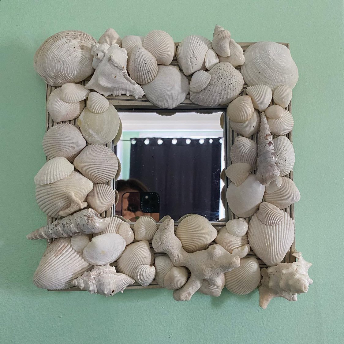 Authentic Seashell Mirror
