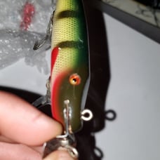 Early creeckchub lure