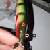 Early creeckchub lure