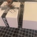RARE Phish—Pollock Year Of The Rooster Bronze Statue #3 of 200