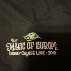 DISNEY CRUISE LINE DCL MAGIC EUROPE MENS LARGE NIKE HYPERSHIELD WINDBREAK JACKET