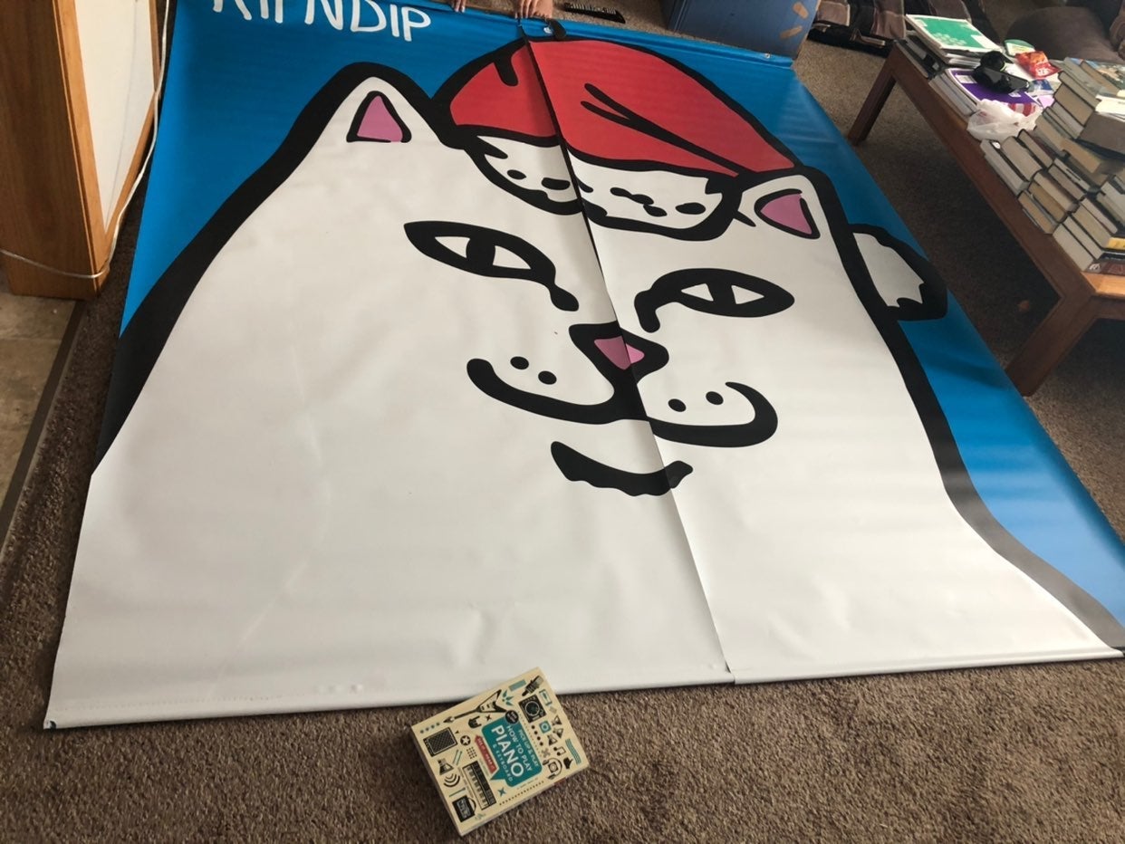 Ripndip banner from zumiez