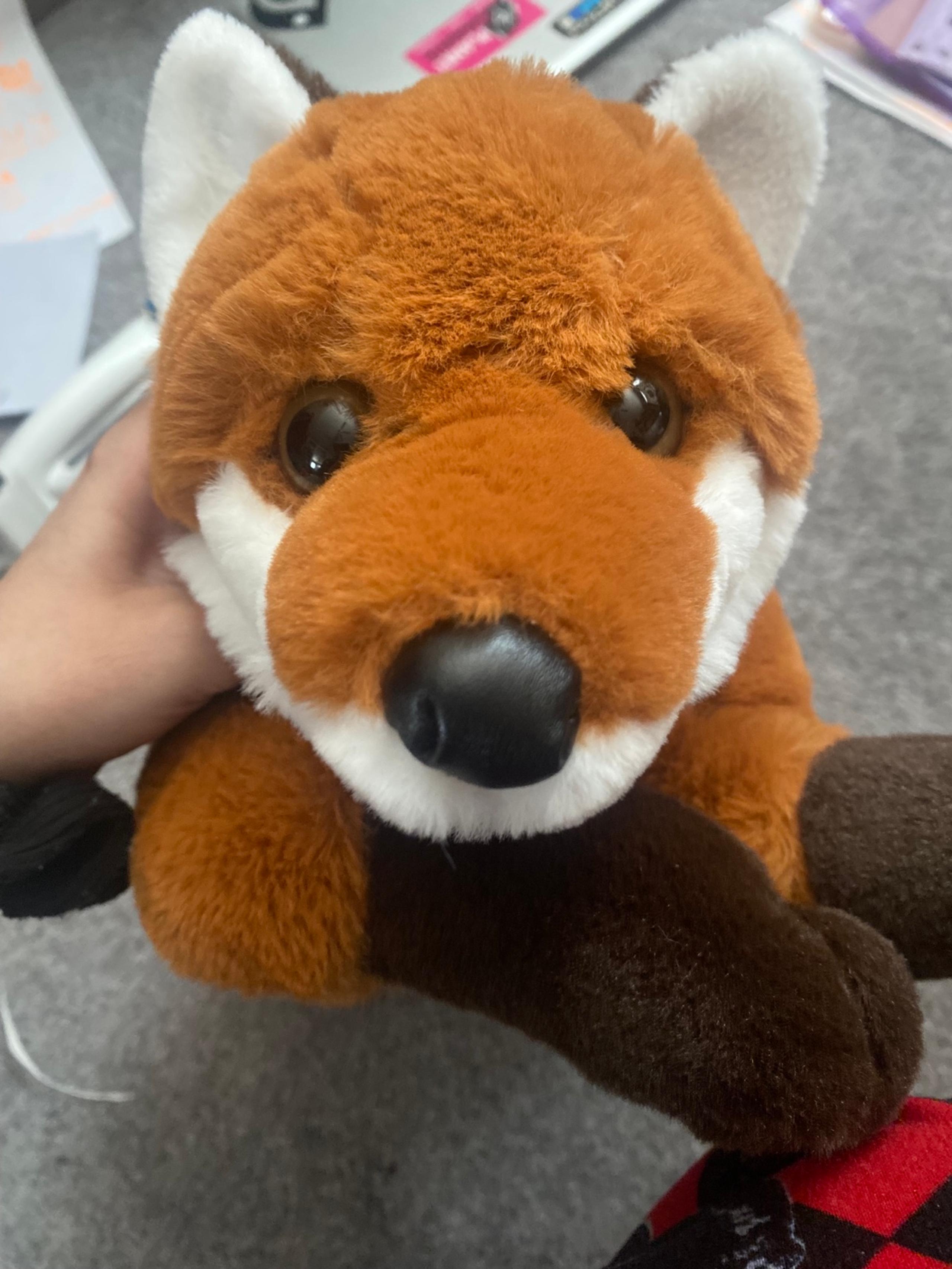 Fox Plushie from FAO