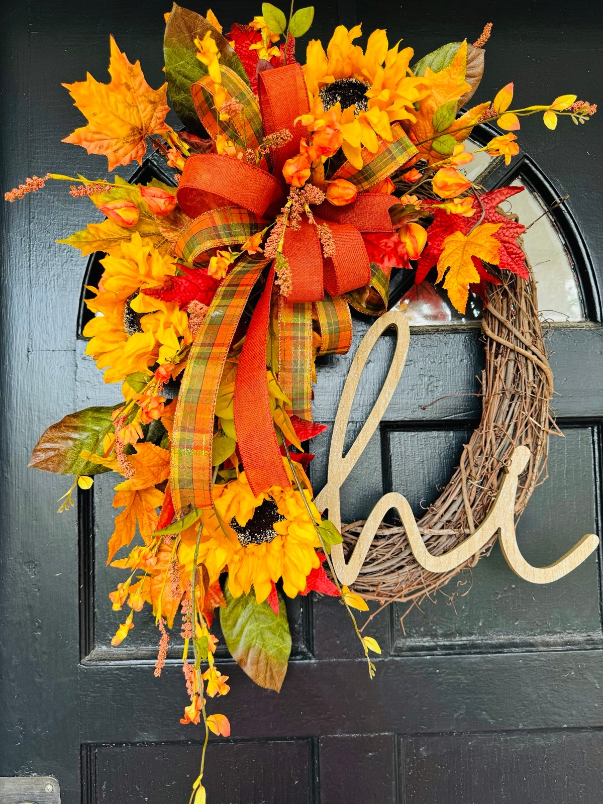 Hi Fall Grapevine