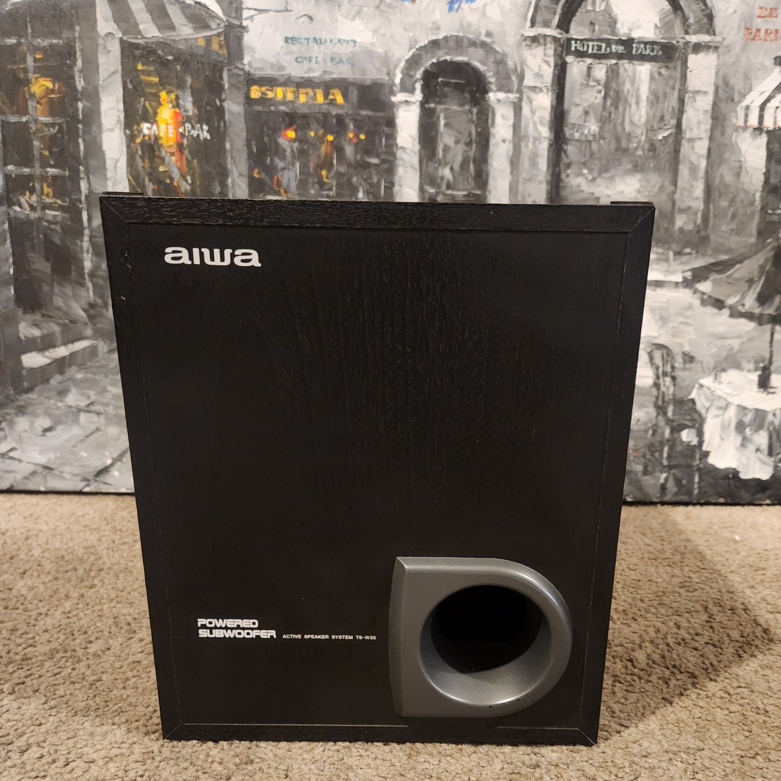 Aiwa TS-W35 powered subwoofer