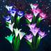 Solar Powered Flower Lights with 16 Lily