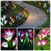 Solar Powered Flower Lights with 16 Lily