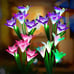 Solar Powered Flower Lights with 16 Lily