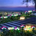 Solar Powered Flower Lights with 16 Lily