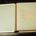 Antique celluloid Victorian 1800s photo album.