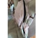 Tennier Industries SP0100-02-D-4014 Cold Weather Parka Sz M Desert Camo Hooded
