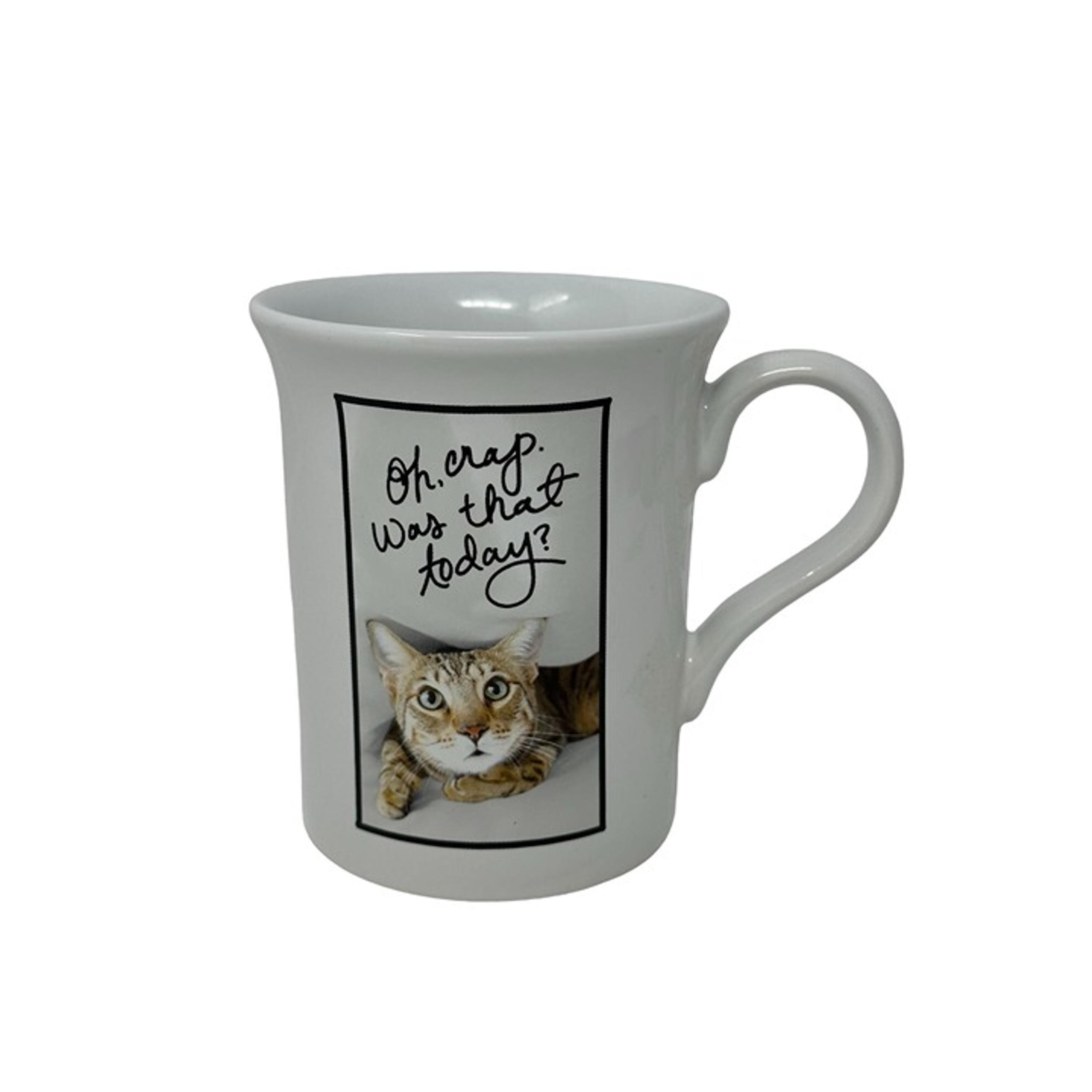 Hallmark Coffee Tea Mug Cup Cat Lover Office Oh Crap Was That Today?