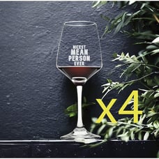Nicest Mean Person Wine Glasses x4 Premium 12 Oz Personalize Funny Quote NEW