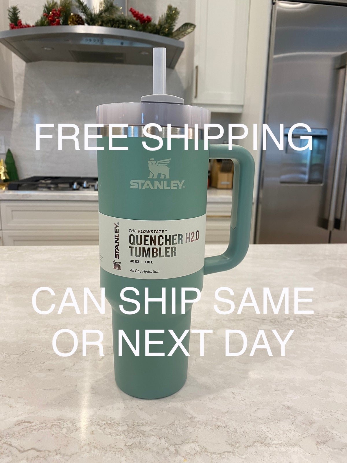 Stanley 40 oz Quencher in Eucalyptus