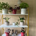 Gold Bookshelf Modern Bookshelf, Storage Shelves 5 Tiers