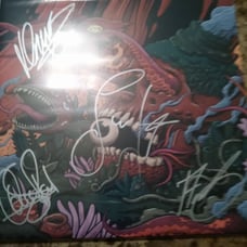 Pop Evil signed vinyl