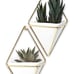 2 geometric wall planters