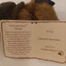 Boyds Bears 7 Claudette Beardeaux Style # 904317 Retired Mint With All Tags