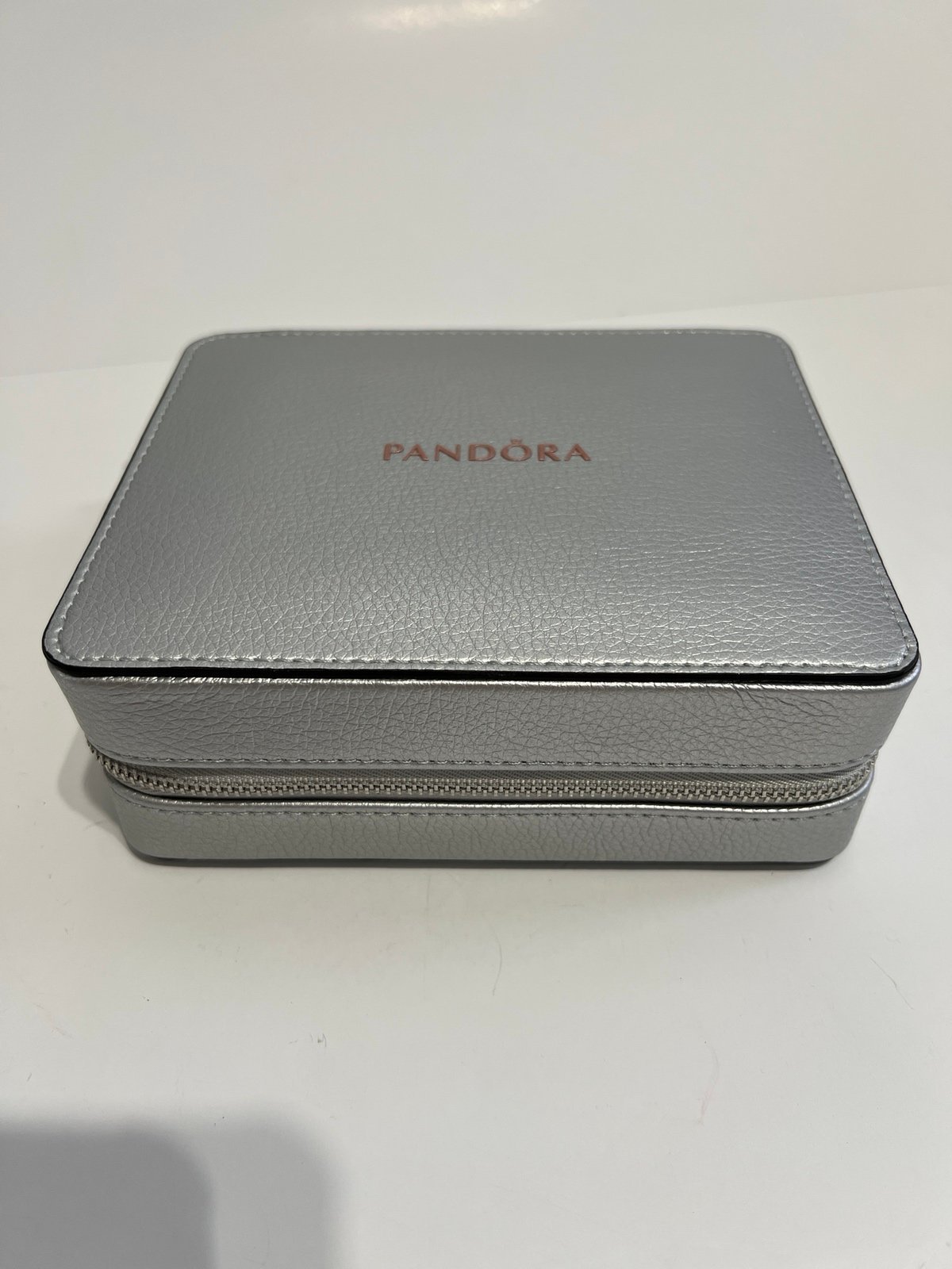 Pandora Silver Zip Travel Organizer Case