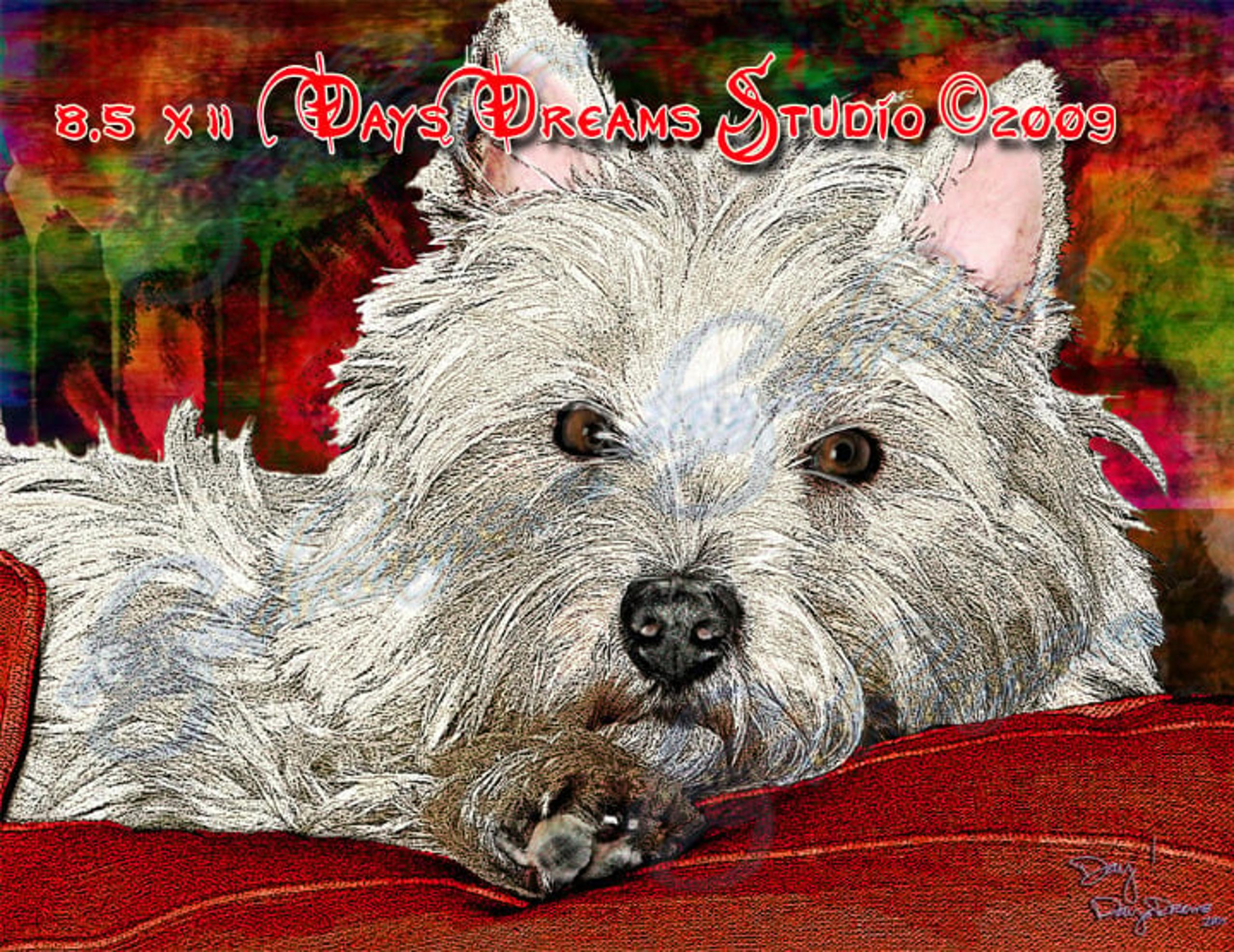 Westie West Highland Terrier Pet Portrait