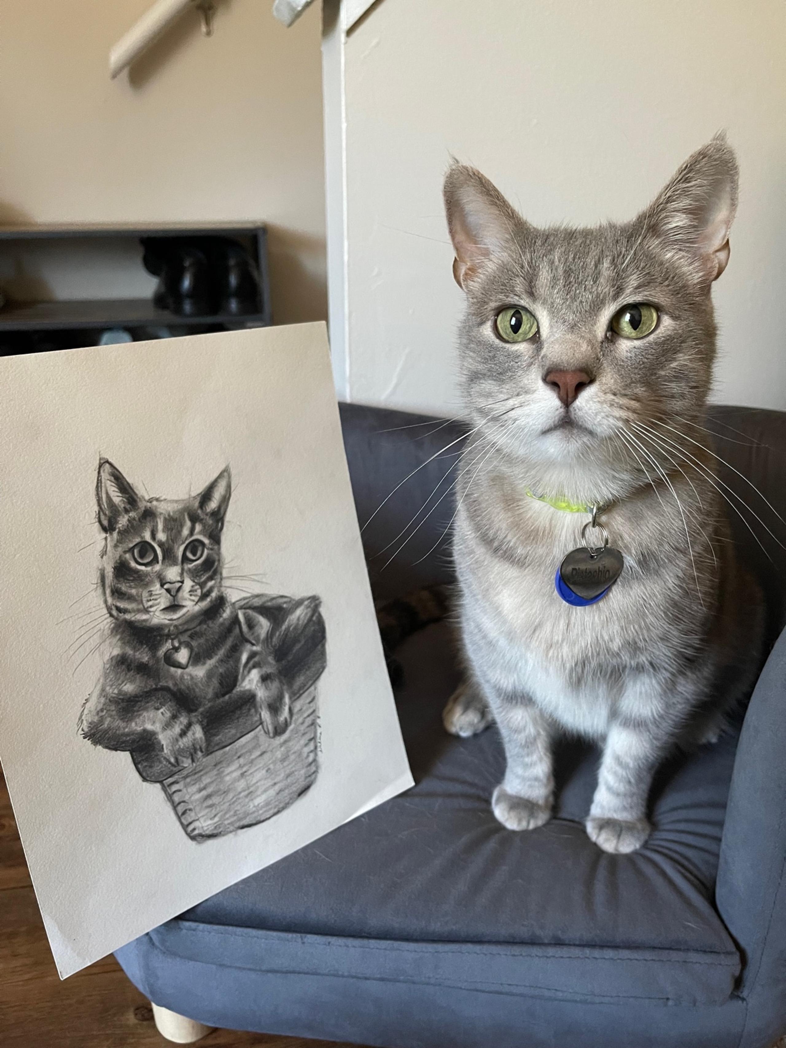 Custom Art :cat