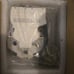 Ford escape transmission solenoid pack