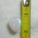 Rainbow Moonstone Pear Shape Cabochon-WRL-11-08