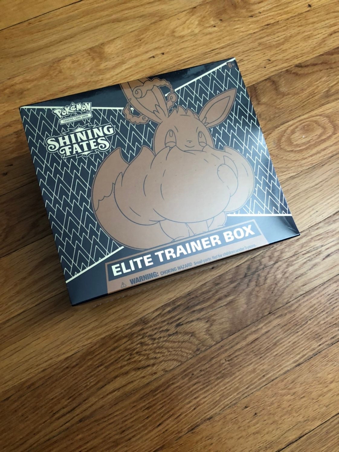 Shining Fates Elite Trainer Box ETB