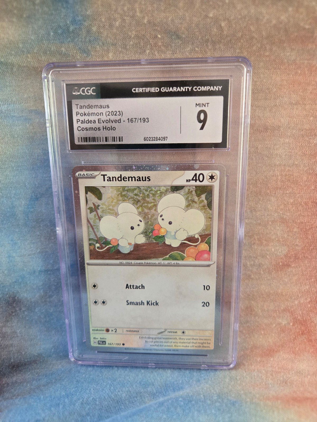 PSA 9 TANDAMAUS.