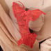 women's bodysuits