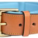 BLUE LEATHER DOG COLLAR