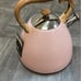 Speckled Pink Whistling Kettle NWT