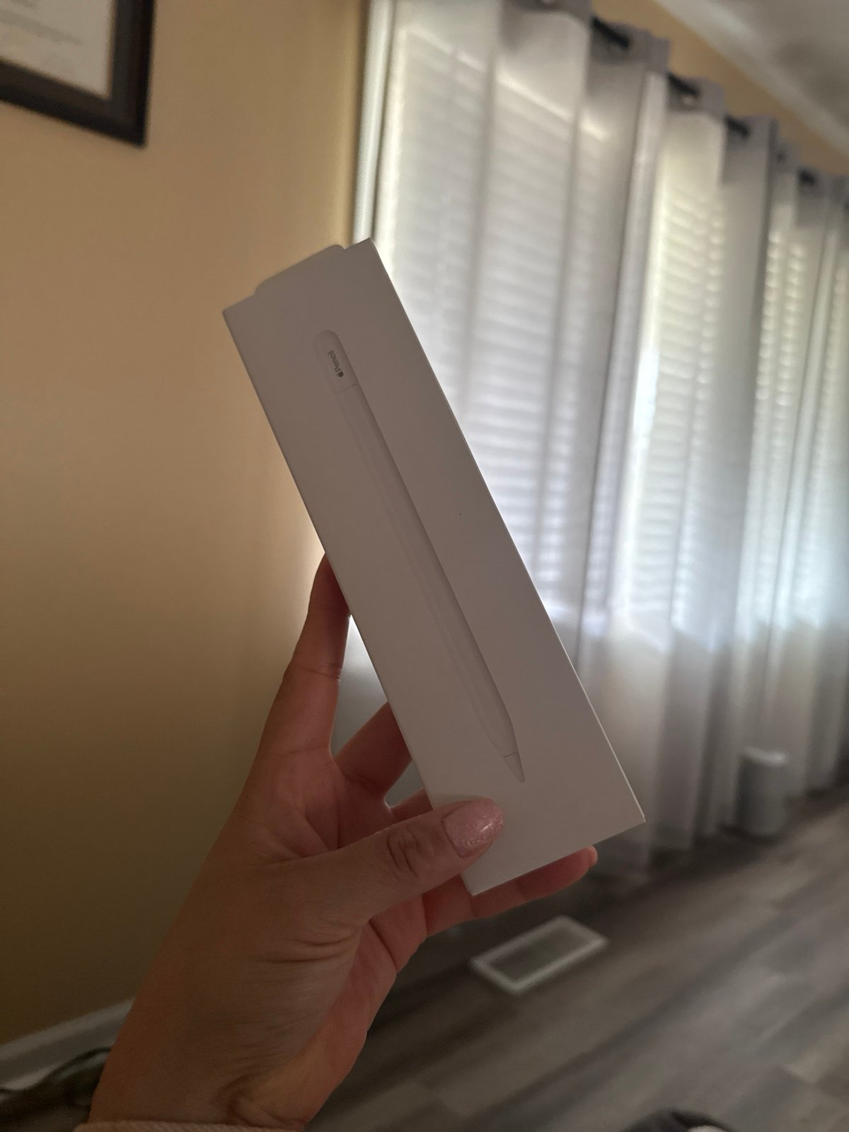 Apple Pencil USB-C