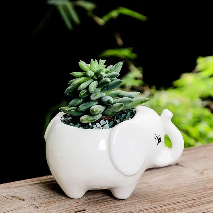 1pc Hippo Flower Pots Succulent Planter Pots Mini Ceramic Plants Containers For