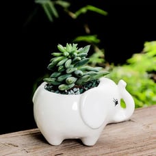1pc Hippo Flower Pots Succulent Planter Pots Mini Ceramic Plants Containers For