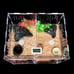 Multi reptile Tank incloser