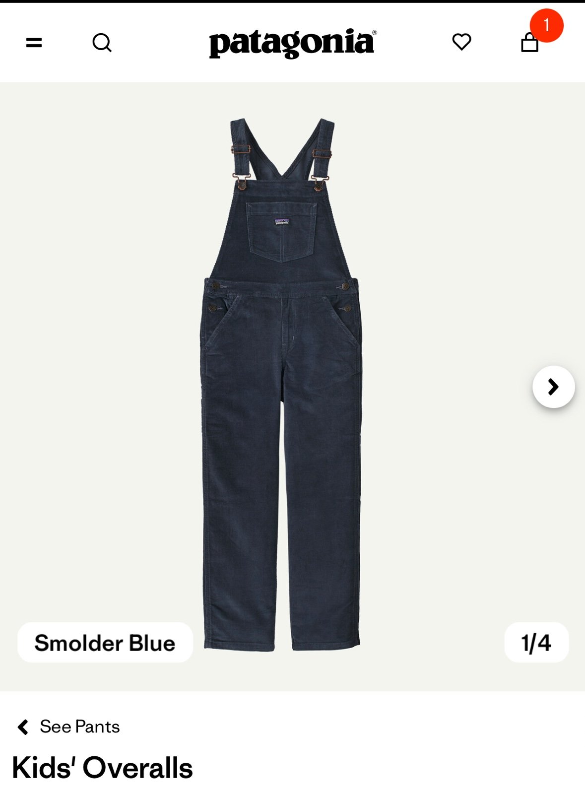 Patagonia kids overall