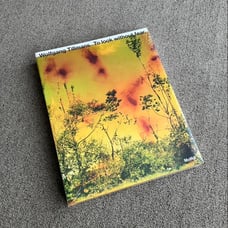 Wolfgang Tillmans: To Look Without Fear